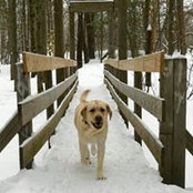 Heather Rowan's photo