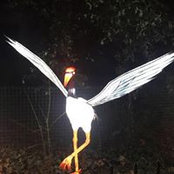 Sophie Durel's photo