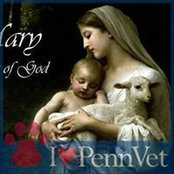 Kathie Berardone's photo