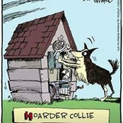 Ann Vermilyea's photo