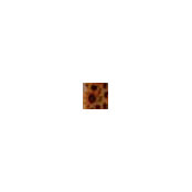 gus's photo