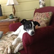 Julie Tassin's photo