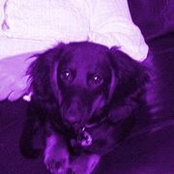 Sheri Christensen-Garza's photo