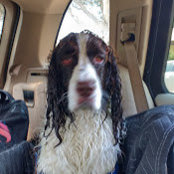 Janet Gentile's photo