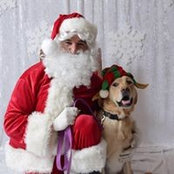 Andrea Ellen's photo