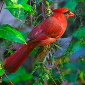 Foto von Carol Riddle