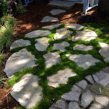 Playful, Secluded Shade Garden & Fairytale Pond