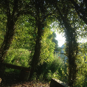 Living Willow Temple