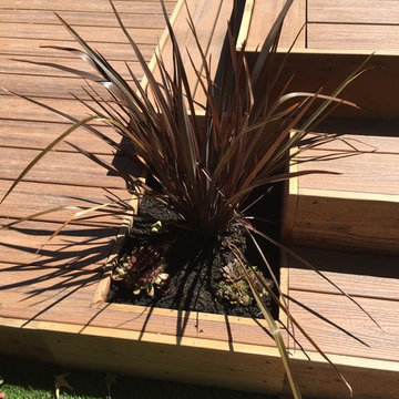 North Seattle Landscape Renovation