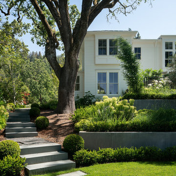 Marin Project
