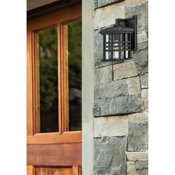 Westinghouse 6204500 Caliste 1 Light Outdoor Wall Sconce