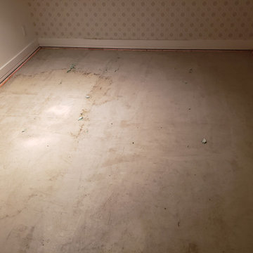Epoxy Floor Coating