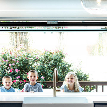 Tennessee Gas Strut Window