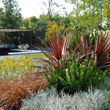 Garden Beds