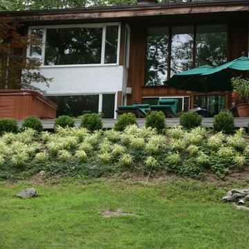 Deer Resistant Gardens