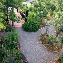 Gardens: Paths and bridges