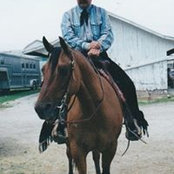 Robert Lynams foto