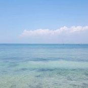 Isabel Gallego's photo