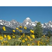 Brooke Sinclair's photo