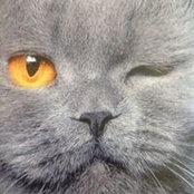 Anastasia Entchen's photo
