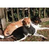 Faye Willey's photo