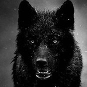 Foto de James Purtee

