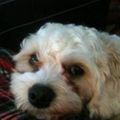 Ashley Frates's photo