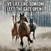 Brenda Macdonnell's photo