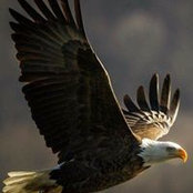 Lisa Nelson's photo