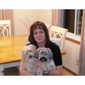 Arlene Elk's photo