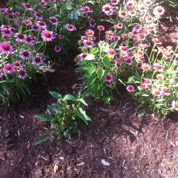 Plantings