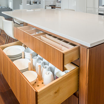 A number of surprising storage solutions in a contemporary kitchen