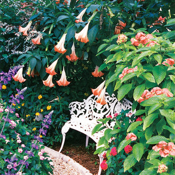 Tropical Flower Garden