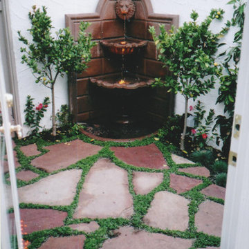 Turtle Garden with Fountain Pond and Caves