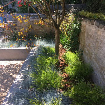 Drought tolerant planting