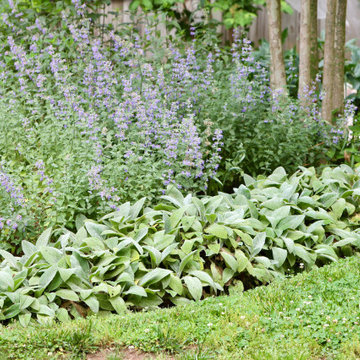 Deer resistant backyard