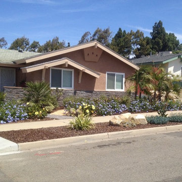 Desperate Landscapes DIY Network