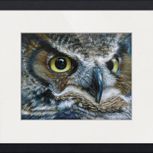 owl art