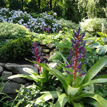 Container Planting Designs
