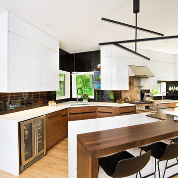 Excelsior Modern Remodel