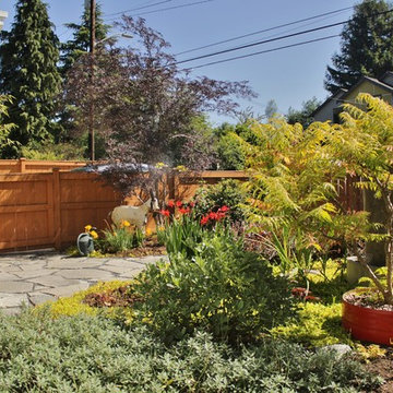 Seattle Yard Undergoes a Transformation