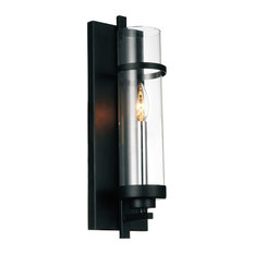 1-Light Wall Sconce with Black Finish