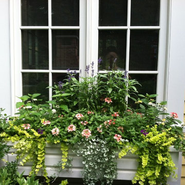 Containers (Spring, Summer, Fall)
