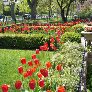 Spring in the garden