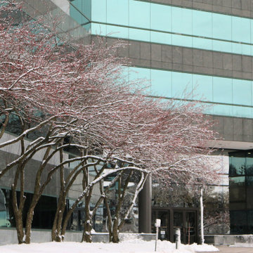 Commercial Property Maintenance