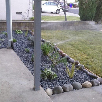 New Front Yard. Grass, Planting and Pebbles in San Pablo CA