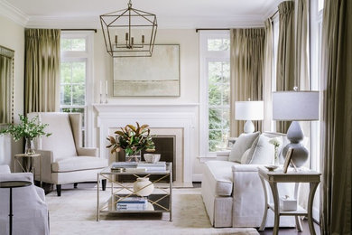 Inspiration for a transitional living room remodel in DC Metro