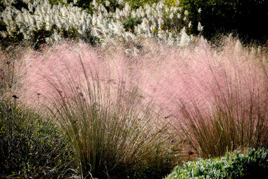 This is an example of a landscaping in New York.