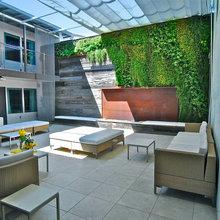 wall