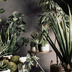 2022 Editor's Picks - Plants